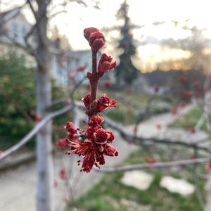 Meet your Posher, Riley